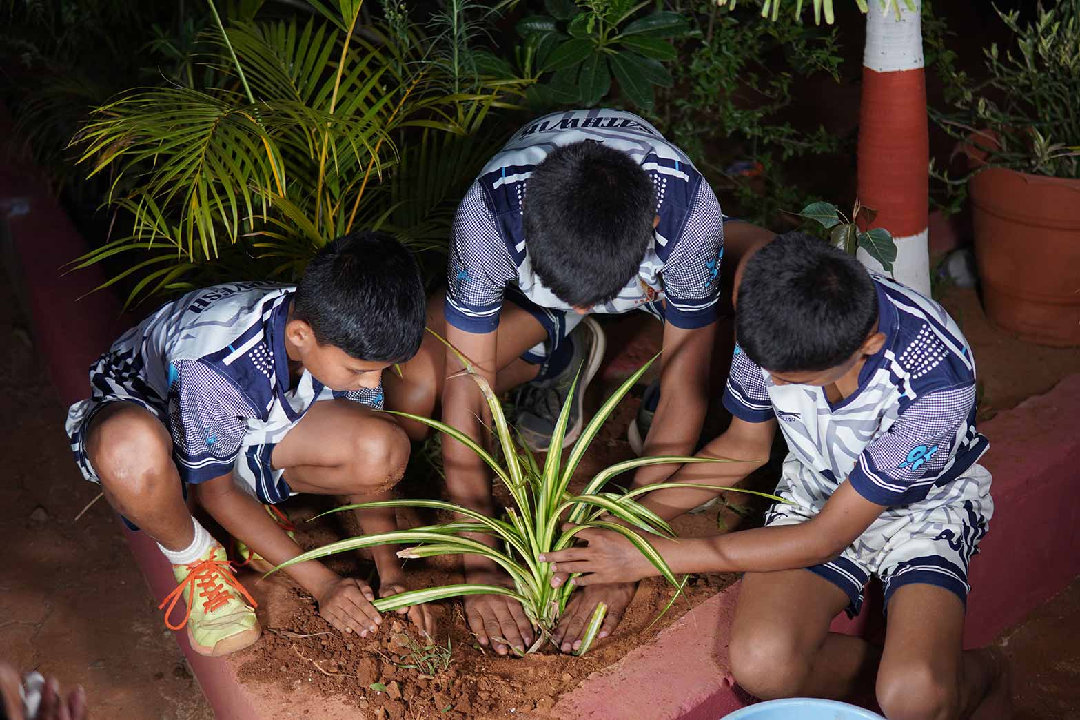 Values and discipline